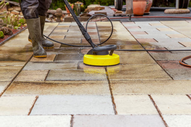 Animal Enclosure Cleaning in Butler, OH